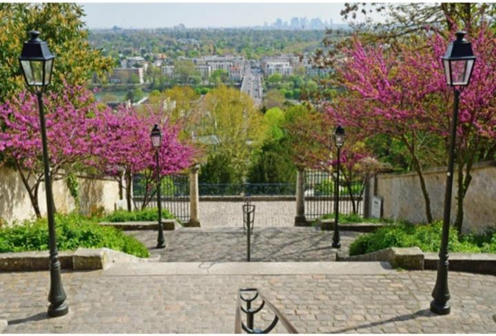 Saint-Germain-En-Laye: Grand Studio En Centre Ville A 2 Minutes Du Rer エクステリア 写真